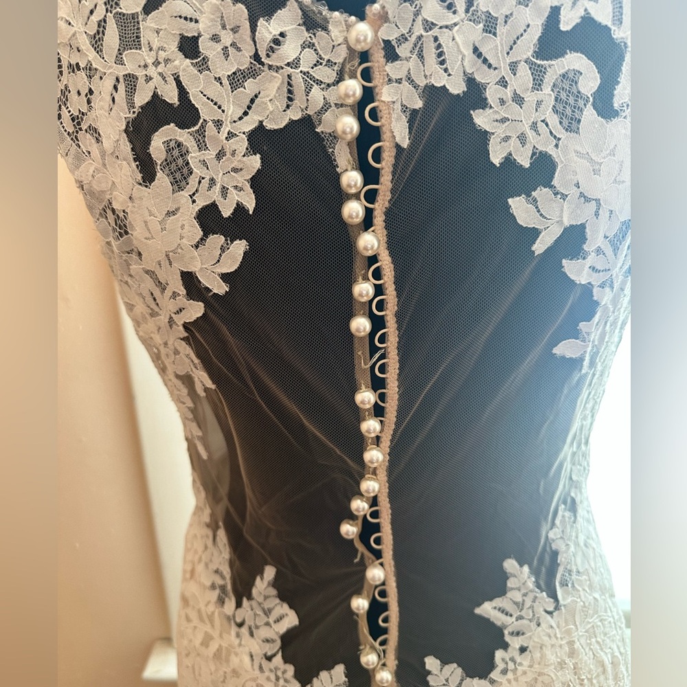 Pronovias Lyra wedding dress - Picture 9 of 13